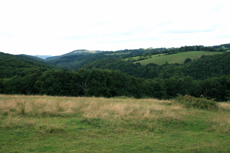 Takto dnes vypadá pole, kde byly tabulky nalezeny. Foto: V. Mourre, CC BY-SA 3.0, Wikimedia commons