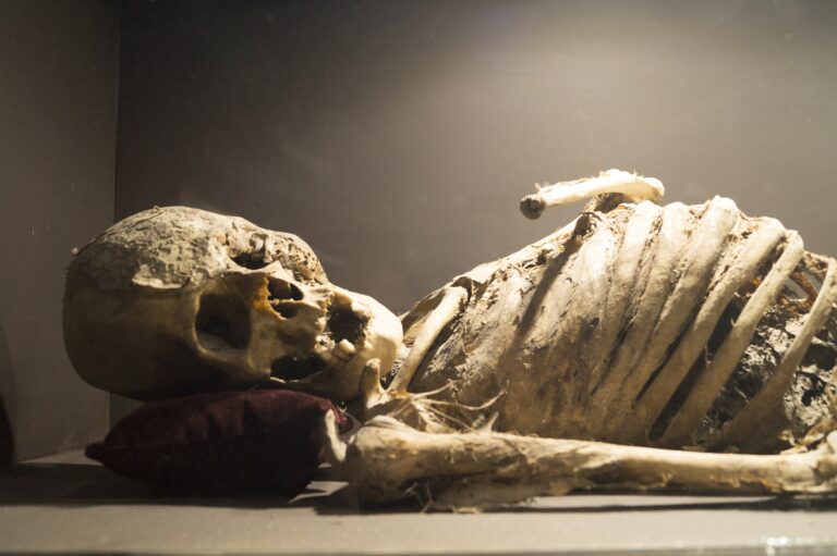 Mumie fextů měly být schopné i vraždy. Foto: Pixabay