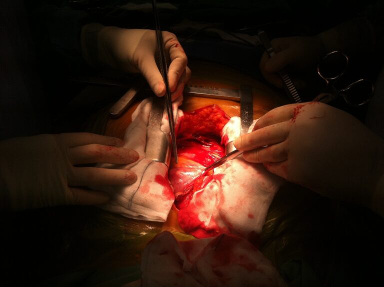 Proběhla první známá operace srdce už před 100 000 lety? Foto Pixabay