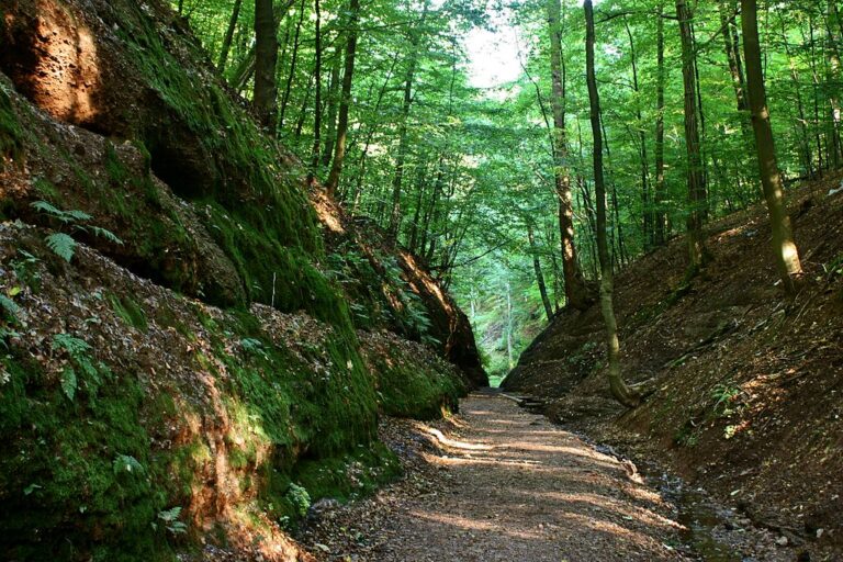 Členitost pohoří Duryňský les přímo láká k vybudování tajných úkrytů. Zdroj foto: Jungsystems, CC BY-SA 4.0 <https://creativecommons.org/licenses/by-sa/4.0>, via Wikimedia Commons