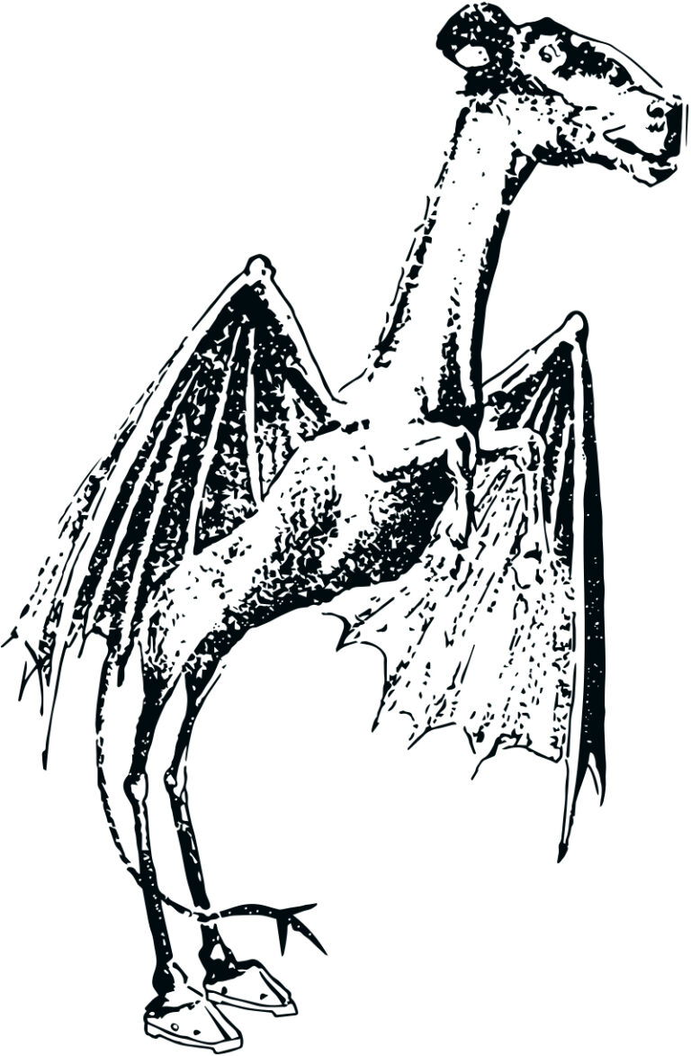 Létající monstrum připomíná zčásti koně a zčásti klokana, foto Philadelphia Bulletin / Creative Commons / Volné dílo