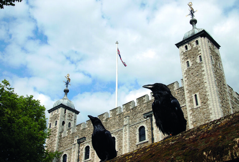 Londýnskou pevnost Tower prý kromě krkavců stráží i duch Anne Boleyn.