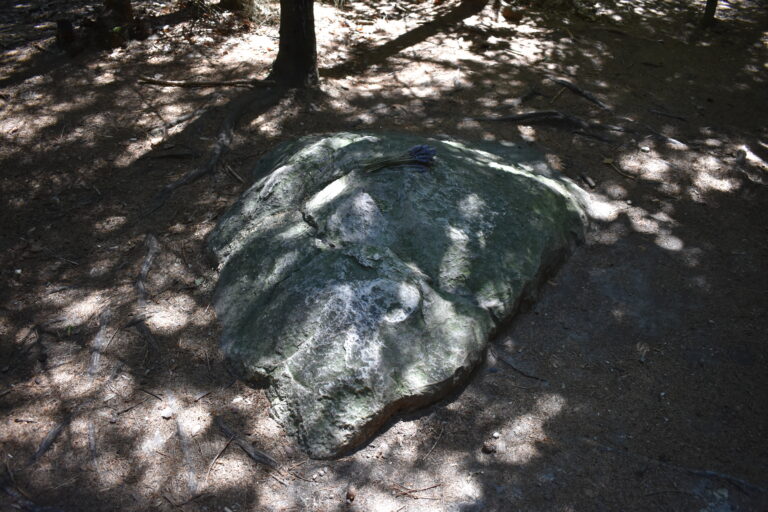 Kámen Pegas, součást Kounovských kamenných řad, se strukturou rýh