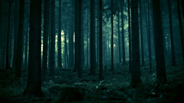 Straší v lese sám vrah nebo jeho oběti?