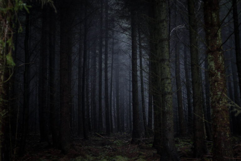 Jaká tajemství střeží duchové v lesích Velké Británie?