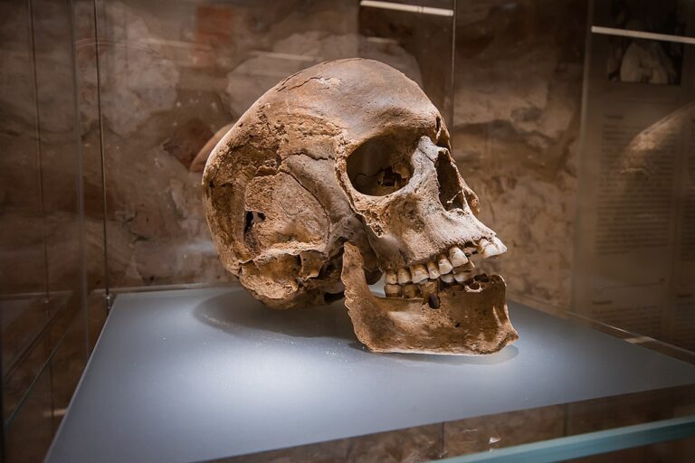 Lidská lebka jako symbol poznání křehkosti a pomíjivosti života. Zdroj ilustrační fotografie: Aneta Pawska, CC BY 4.0 , via Wikimedia Commons