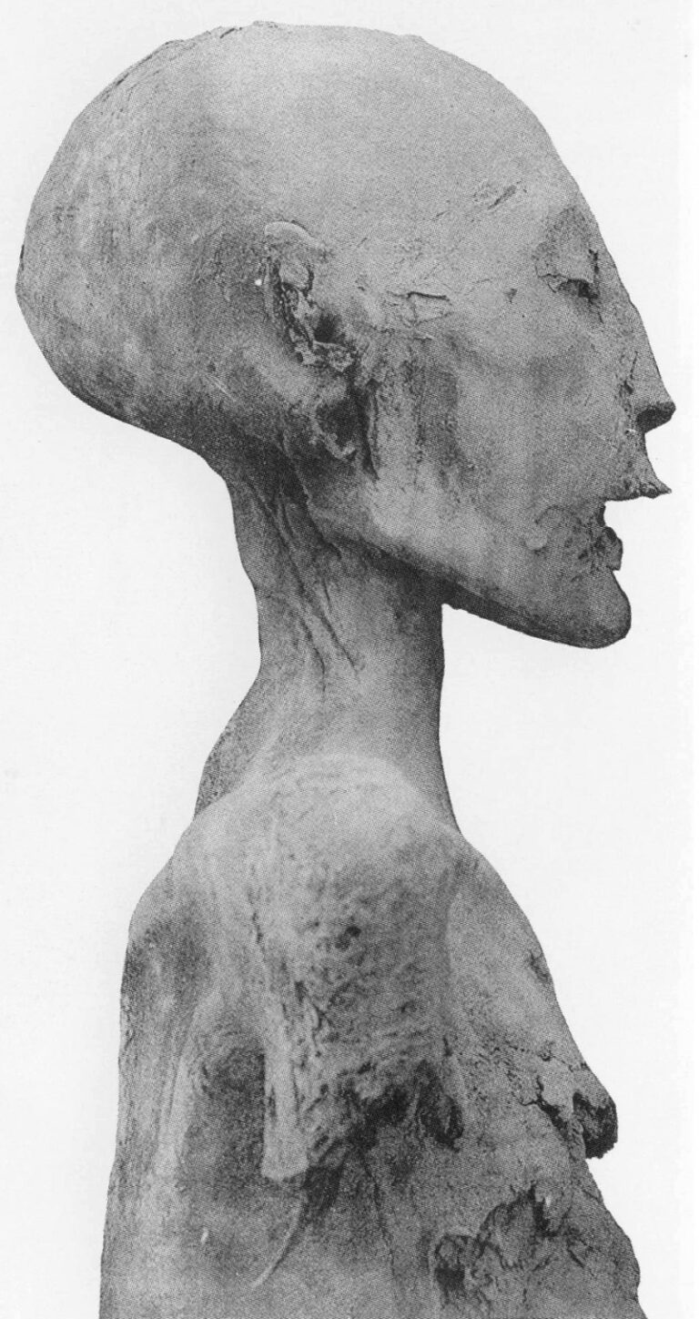 Pravý profilový pohled na mumii z KV35 Foto: CC - volné dílo