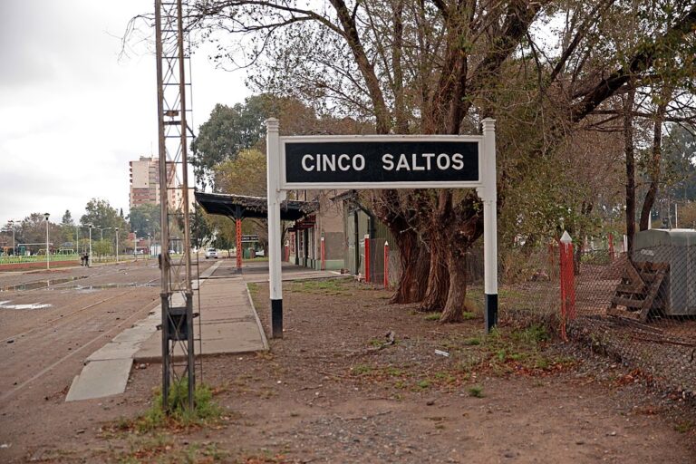 Cinco Saltos znamená v překladu „pět vodopádů“. Zdroj foto: Gervacio Rosales, CC BY 3.0 , via Wikimedia Commons
