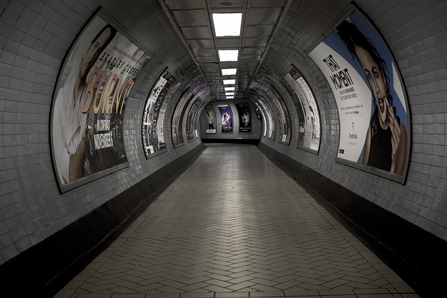 Číhá v podzemí pod Londýnem Krysí královna a nebo je to jen městká legenda? Foto: Pixabay