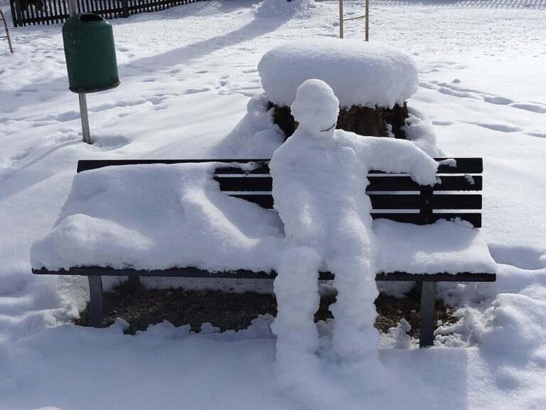 Muž, který se proměnil při sezení na lavičce v ledovou sochu? Za extrémních klimatických podmínek, kdoví… Zdroj ilustrační fotografie: Cherubino, CC BY-SA 3.0 , via Wikimedia Commons