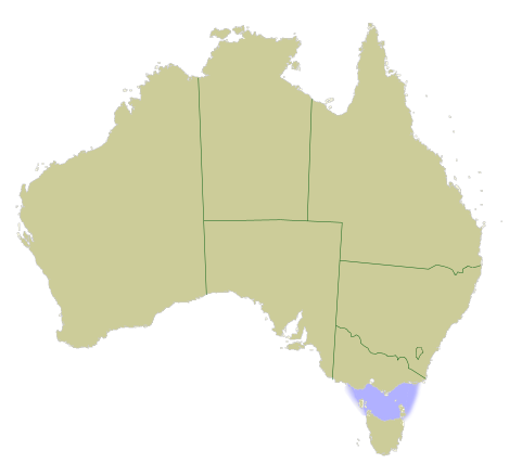 Bassův průliv se nachází mezi Austrálií a Tasmánií. Ačkoliv moc trojúhelník nepřipomíná, svými zmizeními je přirovnáván k Bermudskému trojúhelníku. Foto: Volné dílo, Wikimedia commons
