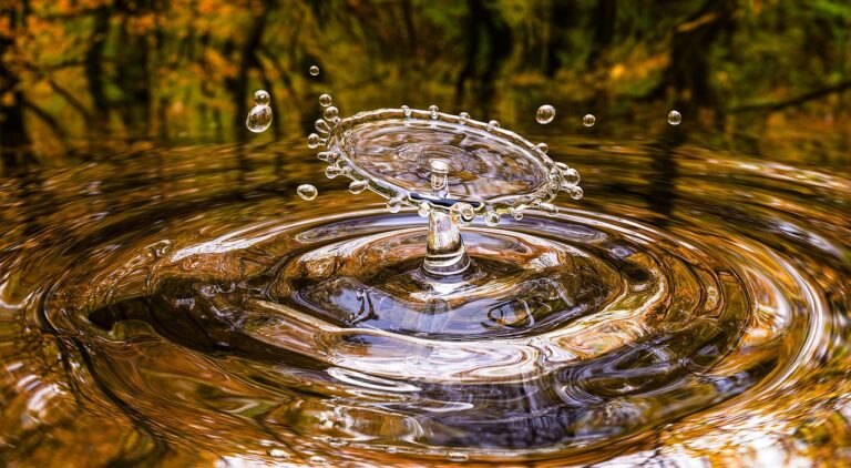 Ovlivňují vodu energie či slova? Jak moc na ni každý z nás působí?