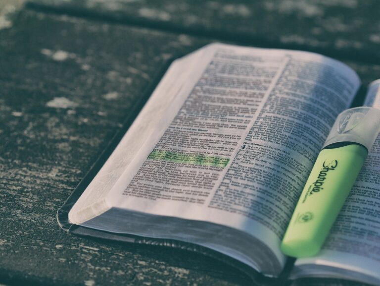 Noc před svým zmizením hledala útěch v Bibli, foto Pixabay