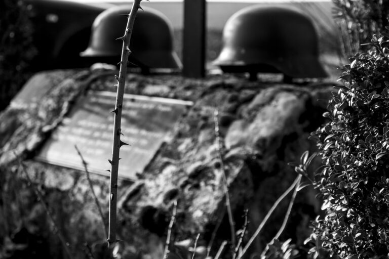 Předpoví i světové války... Foto: Pixabay