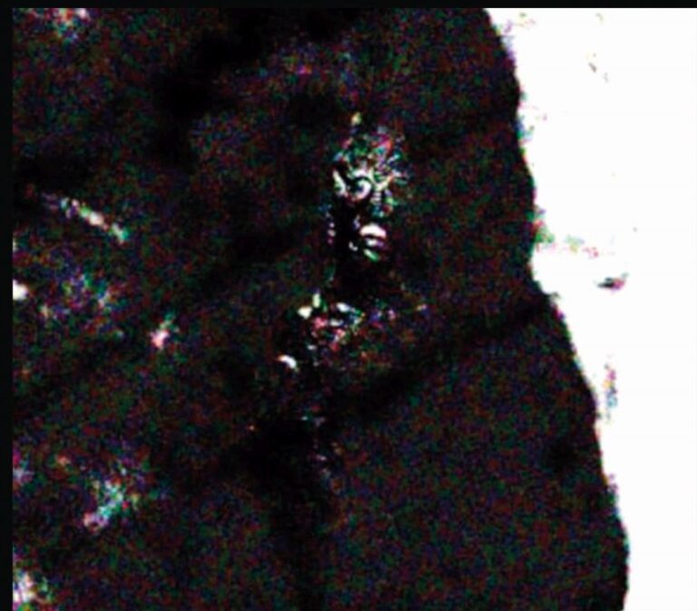 Autentický snímek z jeskyně, na kterém má být údajně zachycen reptilián.