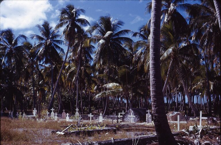 Hřbitov ve Francouzské Polynésii. Zdroj foto: Georges Martin, CC BY 3.0 <https://creativecommons.org/licenses/by/3.0>, via Wikimedia Commons