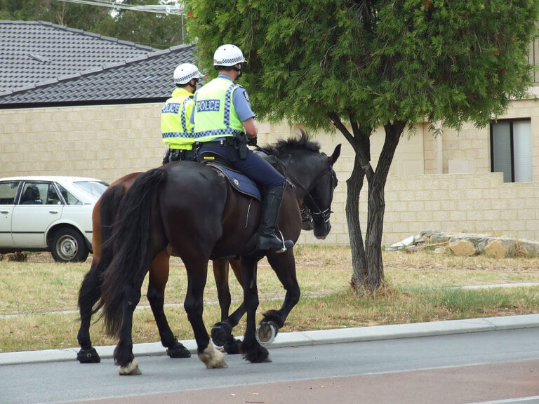 Ani australská horská policie si neví se záhadnými zmizeními rady. Zdroj ilustrační fotografie: Adrian van Leen (Perth, Western Australia) [1], Public Domain, via Wikimedia Commons 