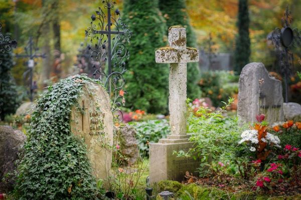 Bludičky se také často objevují na hřbitovech. Foto: Pixabay