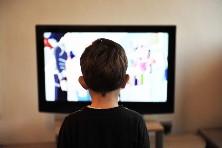 V „devadesátkách“ mohli obyvatelé Severní Ameriky v televizi naladit nejrůznější bizarní vysílání, foto Pixabay