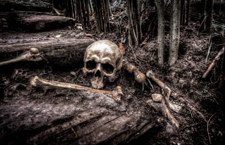 Pozůstatky upírského pohřbu byly objeveny při stavbě hostince, foto Pixabay