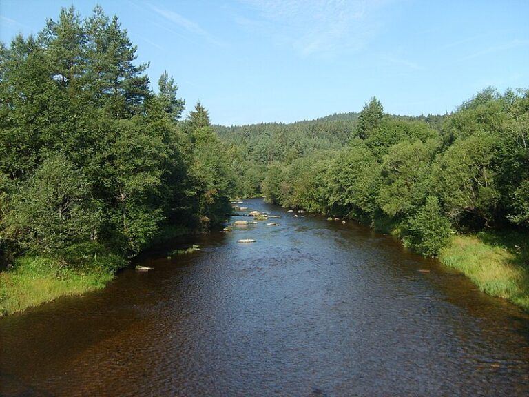 STB se zabývalo výskytem bludiček v údolí říčky Křemelná.Foto: Ondrej.koníček, CC BY-SA 3.0 <https://creativecommons.org/licenses/by-sa/3.0>, via Wikimedia Commons