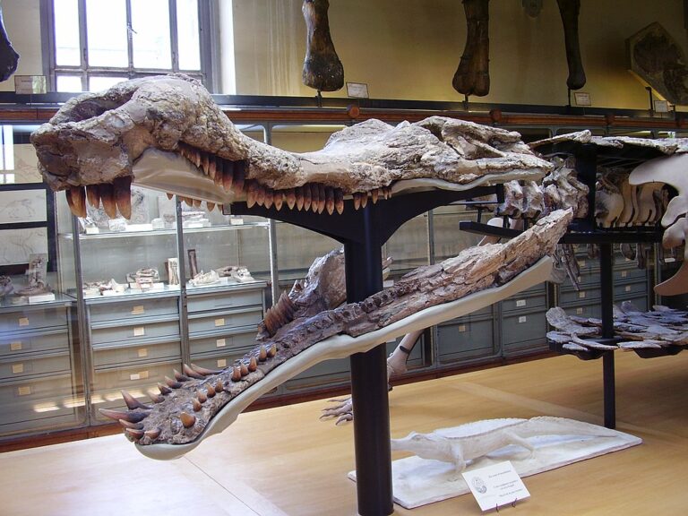 Sarcosuchus měl bezpochyby impozantní čelisti. Nebo ještě má? Zdroj ilustrační fotografie: Meridas (Vladimír Socha), CC BY-SA 4.0 <https://creativecommons.org/licenses/by-sa/4.0>, via Wikimedia Commons