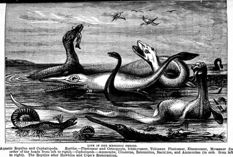Jaký záhadný tvor obývá jezerní vody? Zdroj ilustračního obrázku: Dawson, J. W. (John William), Sir, 1820-1899, No restrictions, via Wikimedia Commons
