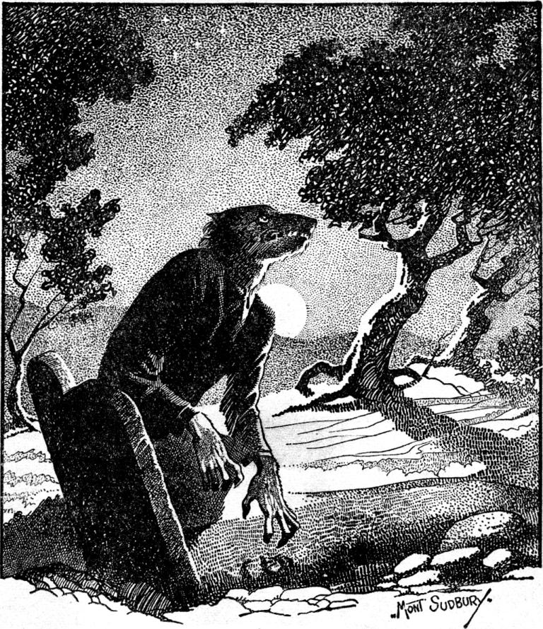Vlci i vlkodlaci jsou trvalou součástí irského bájesloví. Zdroj ilustračního obrázku: Mont Sudbury, Public domain, via Wikimedia Commons