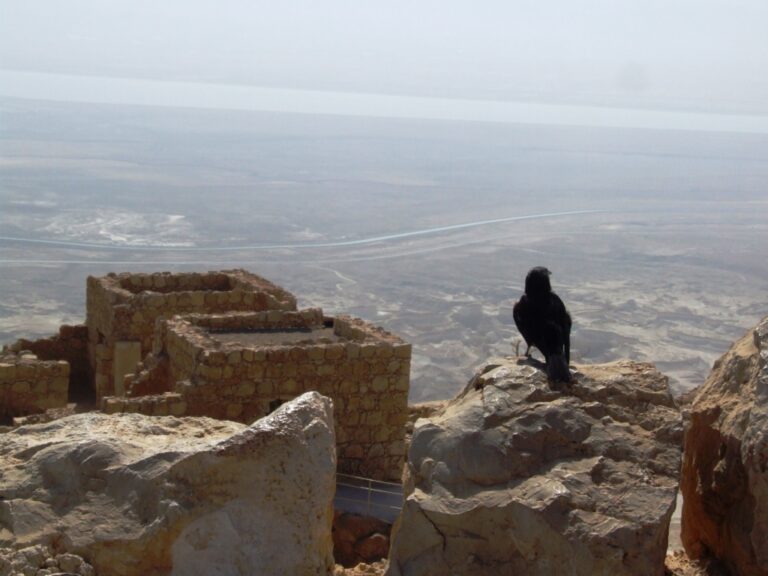 Židé s Římany houževnatě bojovali. Symbolem židovského odporu proti římské nadvládě je pevnost Masada nedaleko Mrtvého moře. Foto: autor