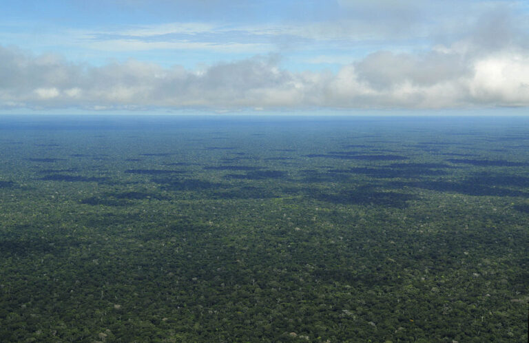 Nekonečný zelený oceán Amazonie. Pod korunami stromů se však skrývají pozůstatky neznámé civilizace. Zdroj foto: CIAT, CC BY-SA 2.0 , via Wikimedia Commons