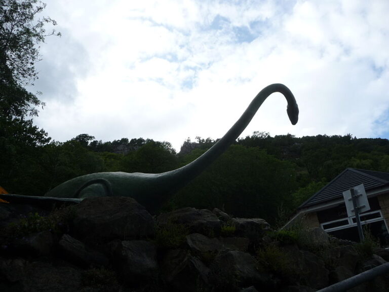 Hadovitý krk je prý typický pro obě sesterské příšery – Lochnesku i Morag. Zdroj ilustrační fotografie: Immanuel Giel, Public domain, via Wikimedia Commons