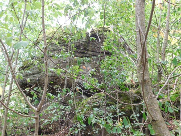 Některé kamenné objekty jsou v lese sotva vidět (Opferstein)