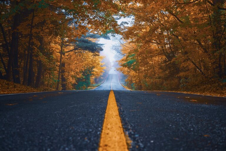 Strašidelná silnice je prý pro noční jízdu velice nebezpečná, foto Pixabay