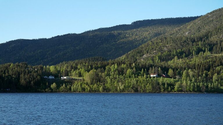 Selmu chrání nejen hloubka jezera, ale i nedostatečná turistická infrastruktura na jeho březích. Zdroj foto: trolvag, CC BY-SA 3.0 , via Wikimedia Commons