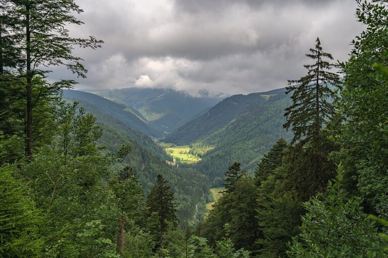 Německé pohoří Schwarzwald. Zdroj ilustrační fotografie: PantaRhei, CC BY-SA 4.0 , via Wikimedia Commons