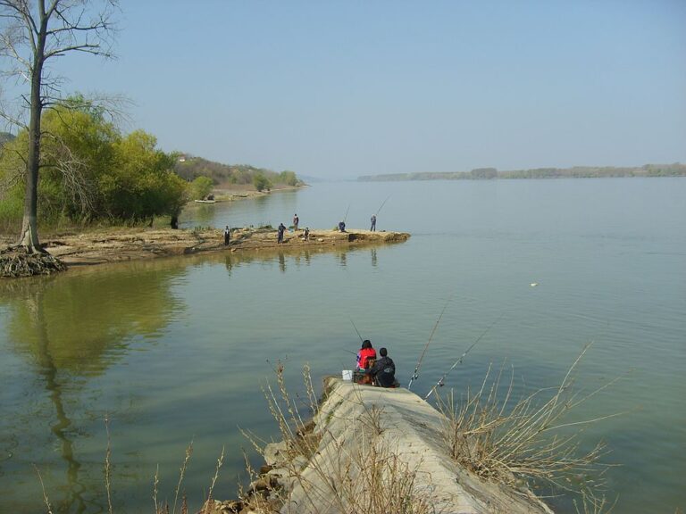 Nejen rybolovem byl na březích Dunaje člověk živ. V minulosti zde kvetlo i říční pirátství. Zdroj ilustrační fotografie: Ognian Georgiev, Public domain, via Wikimedia Commons