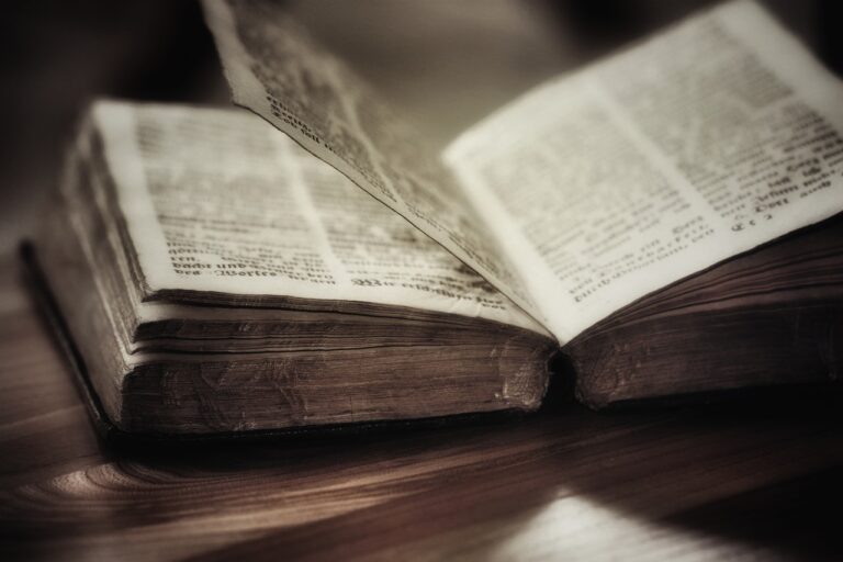 Jak se mohla stará Bible jen tak objevit v podkroví v domě Hydesových? Foto Pixabay