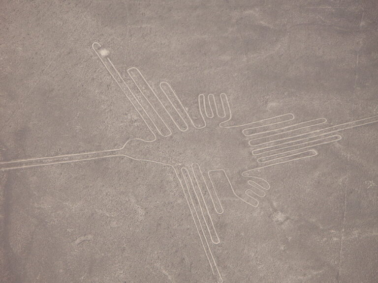 Kolibřík na planině Nazca. FOTO: Ljuba Brank / Creative Commons / CC BY-SA 3.0