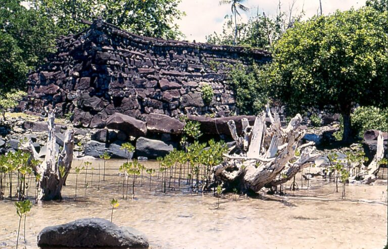 Nan Madol. FOTO: Scot Nelson / Creative Commons / CC0 1.0 UNIVERSAL