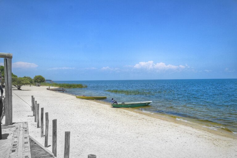 Jezero Bangweulu v Zambii