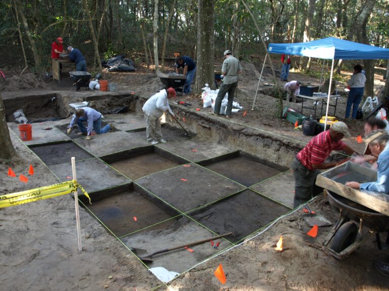 Nadace První kolonie provádí na podzim roku 2009 archeologický výzkum v Národním historickém místě Fort Raleigh, aby našla artefakty související s anglickými koloniemi na ostrově Roanoke v 80. letech 16. století. wikipedia, National Park Service, volné dílo