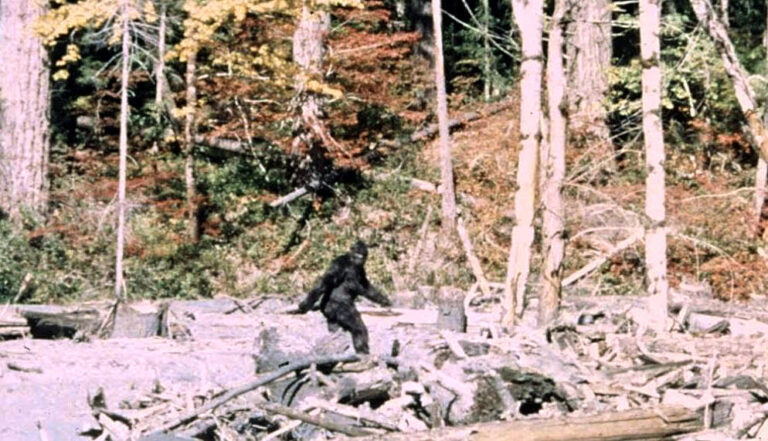 Je na tomto snímku skutečný bigfoot, jak jsou mnozí přesvědčeni?