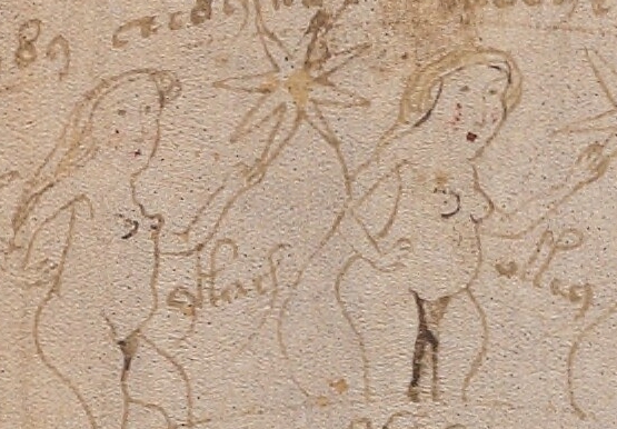 Voynichův rukopis je plný podivných ilustrací neznámých rostlin, hvězdných map a lidských postav.
