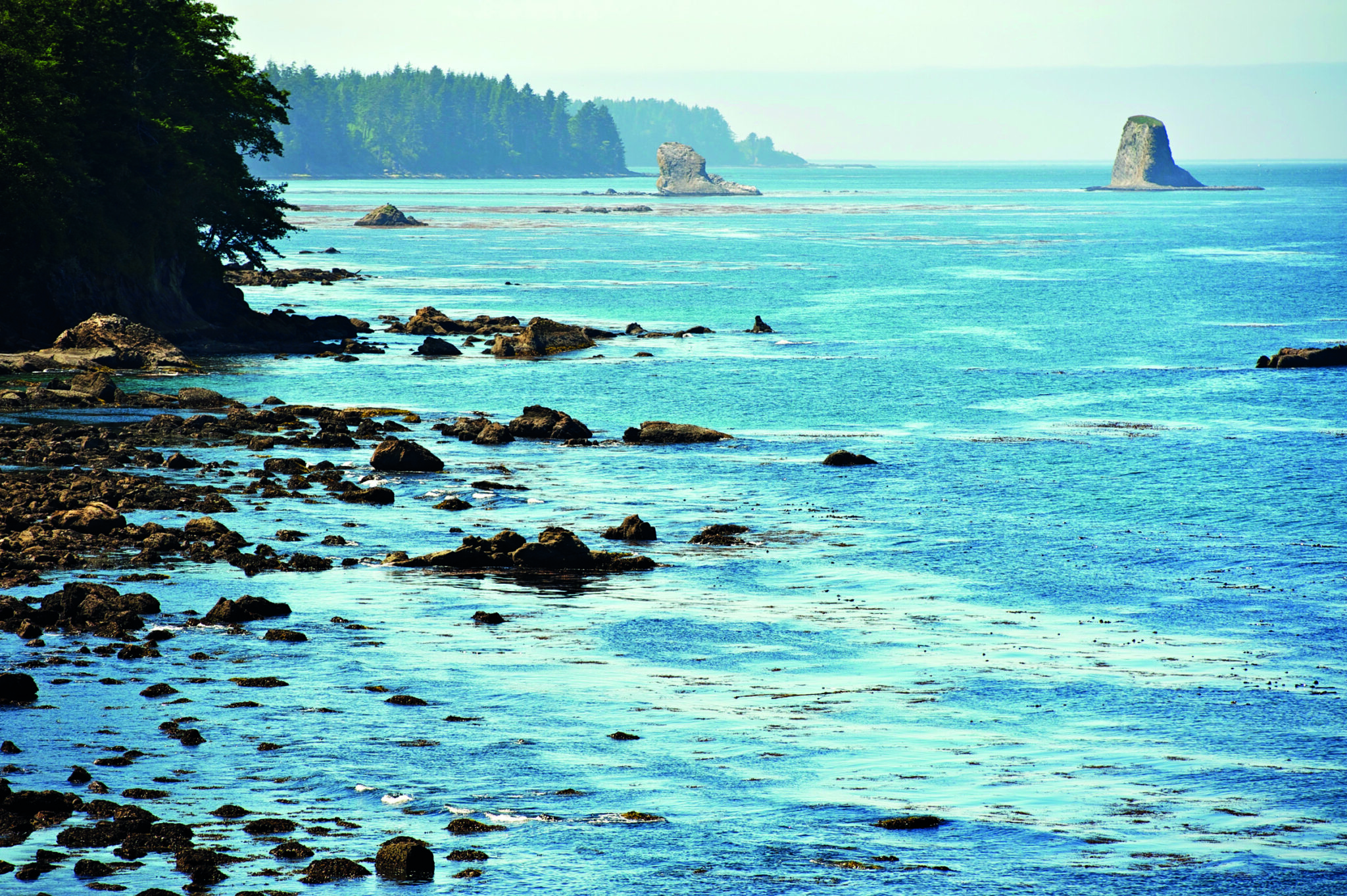 Salish Sea Pro Oce n Vyplavuje Lidsk Nohy EnigmaPlus cz salish-sea-pro-oce-n-vyplavuje-lidsk-nohy-enigmaplus-cz