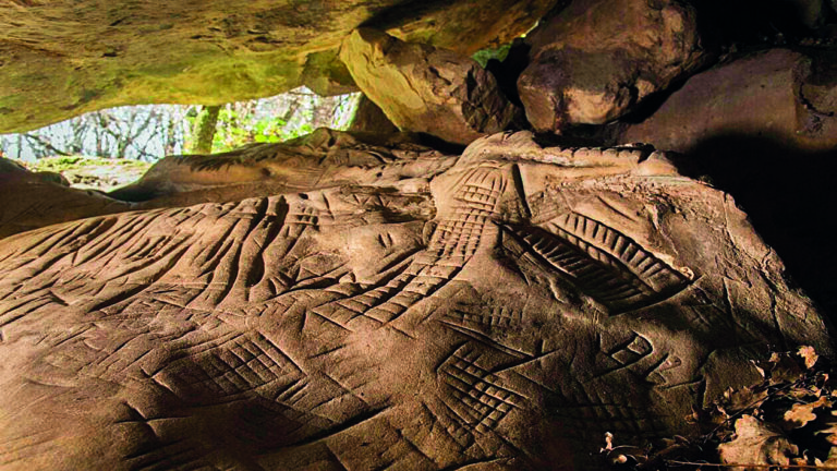 Archeologický výzkum na území lesa přináší mnohá překvapení.