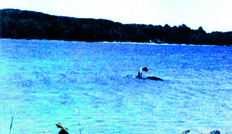 Rozlehlé severoamerické jezero údajně obývá tajemný tvor podobný legendární Lochnesce.