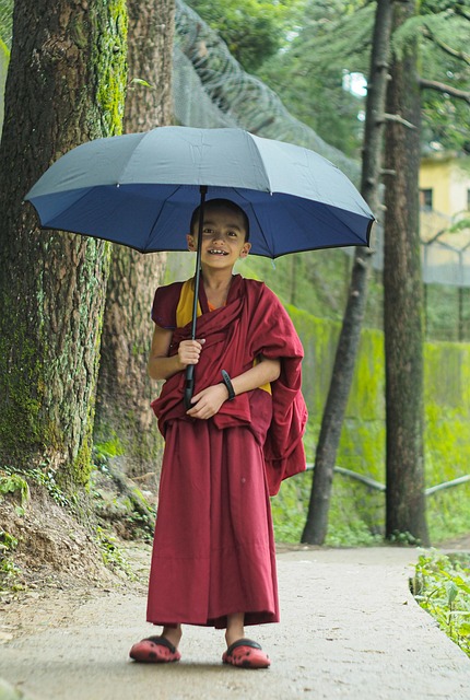 Buddhističtí lámové v Tibetu jsou považováni za strážce prastarých tajemství, včetně těch o Shambhale. Zdroj: pixabay