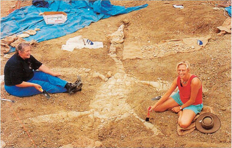 V Austrálii nebo například ve Francii (obr. vpravo) byly nalezeny zajímavé zkameněliny. Jejich existence nahrává teorii o potopě. Foto: Australian Broadcasting Corporation