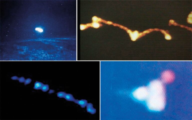 Mají různou barvu, rychlost a způsob pohybu. Jak si to lze vysvětlit?