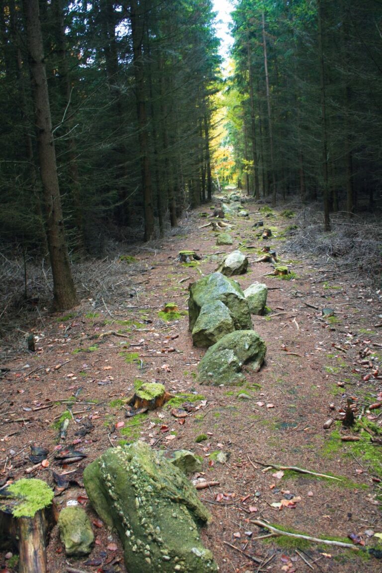 Náhorní plošina u Kounova je poseta různě velkými kameny naskládaných v souběžných řadách. Foto: Karelj/Creative Commons/Public Domain